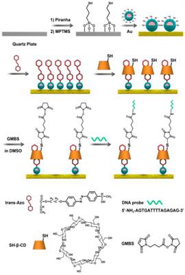 Near-Infrared Light Regulation of Capture and Release of ctDNA Platforms Based on the DNA Assembly System